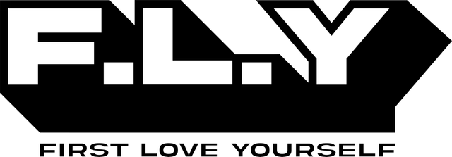 fly logo
